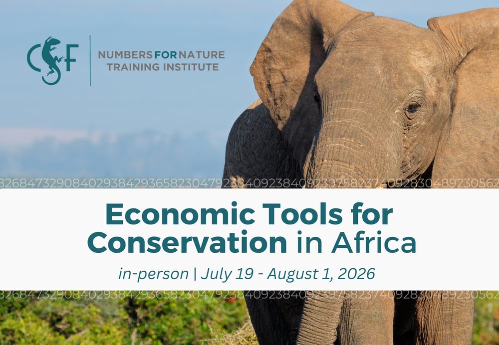 26 Int course - Africa_UPDATE FEB 17 2026.pngFINAL