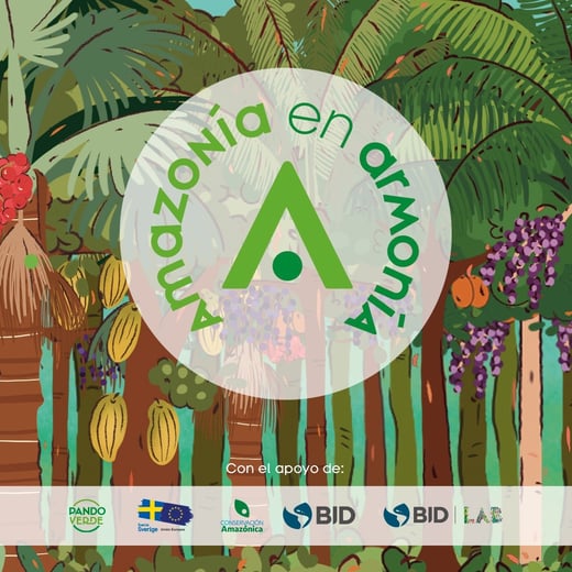 512831895_122126132198830000_478527179870386303_n