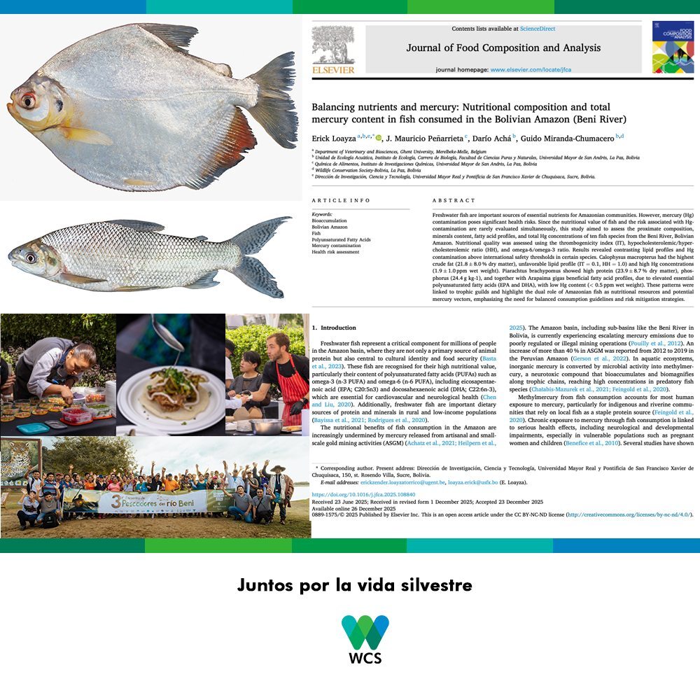 615514987_1459221262872753_4251486007151318466_n