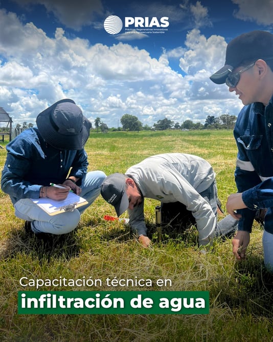 622854534_1009172565607052_5791764310987436055_n