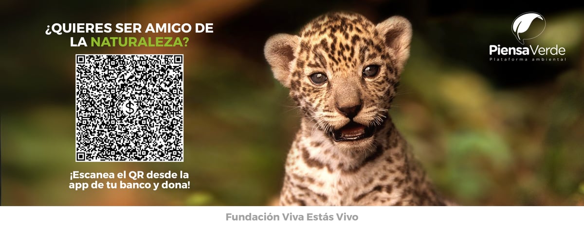 BOLETÍN APOYO (14)
