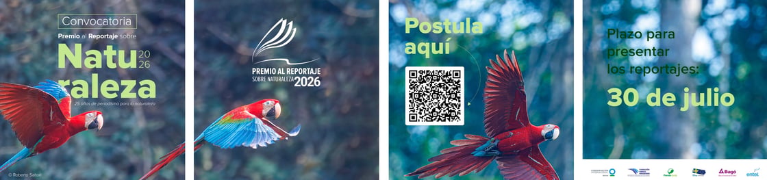 BOLETÍN APOYO (31)