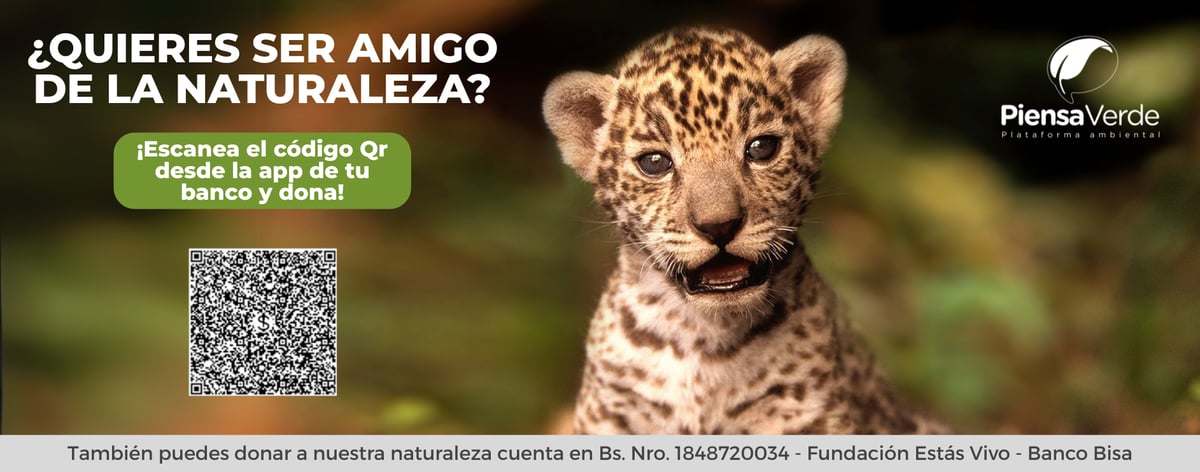 BOLETÍN PORTADA (35)