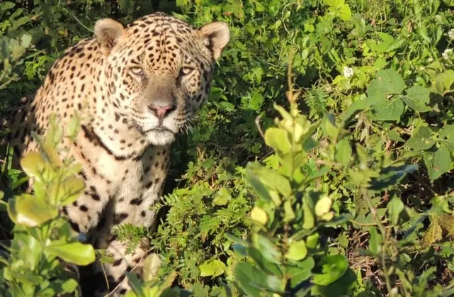 1740496806860-EEB_2023_BetinaKellermann