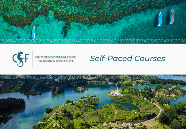 Self-Paced - CFA Newletter