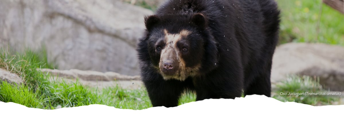 CSF COP Newsletter  (3)