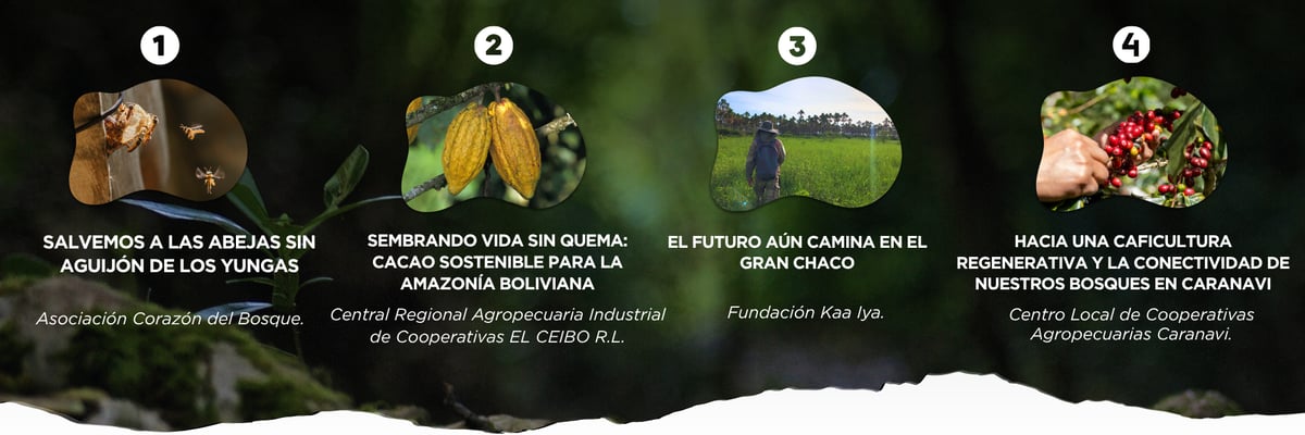 CSF COP Newsletter  (9)