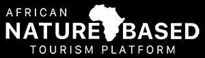 African-NBT-Logo@1x