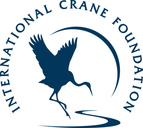 icf-logo-1