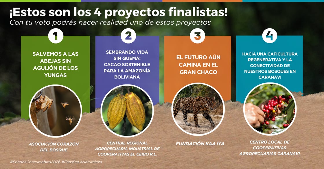 Conoce y  Vota por tu proyecto positivo (50.799 x 35 cm) (600 x 100 px) (3)