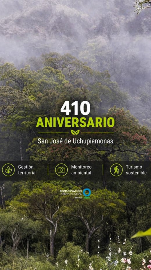 FONDOS CONCURSABLES - ALIADOS SOCIOS (1)