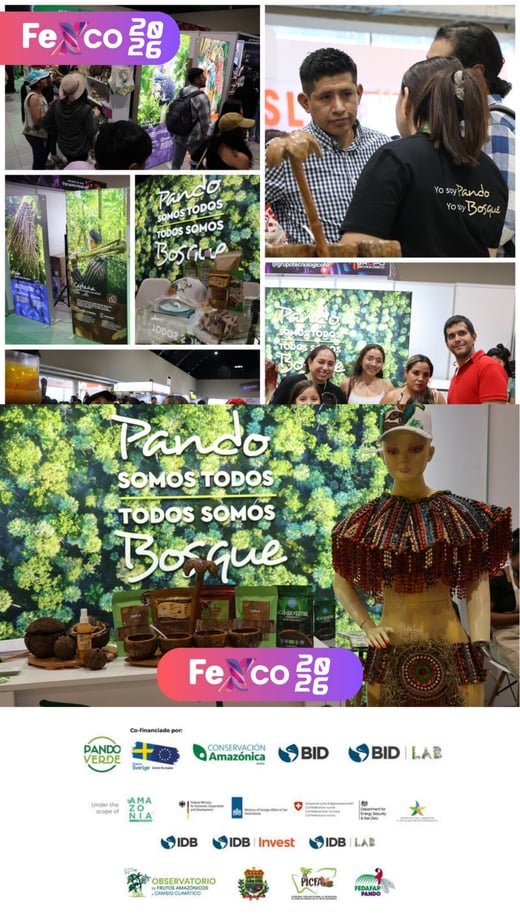 FONDOS CONCURSABLES - ALIADOS SOCIOS