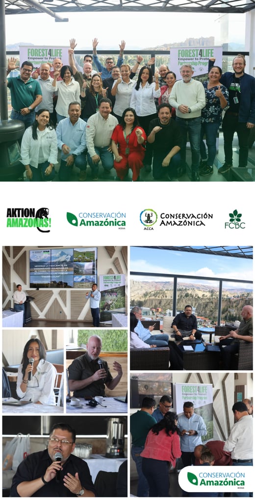 Infografías animalitos (9)