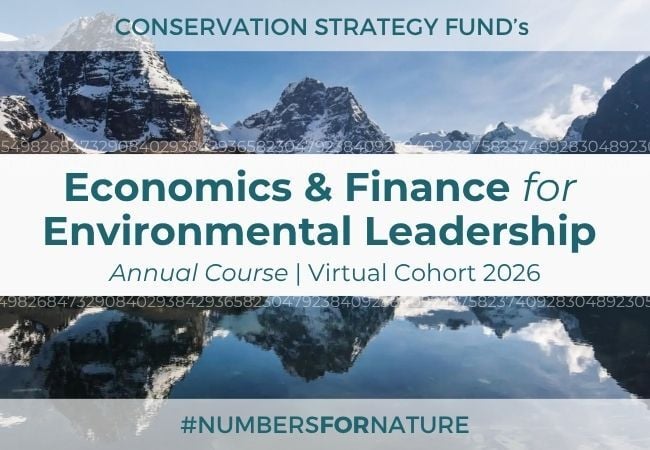 Int Course - Updated