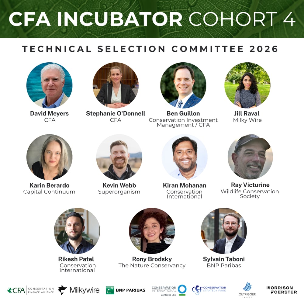 Selection Committee 2026 Post