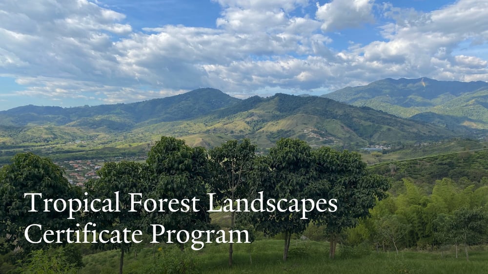 bd7a5b8b-6c61-53c8-3203-74f8a368cd90