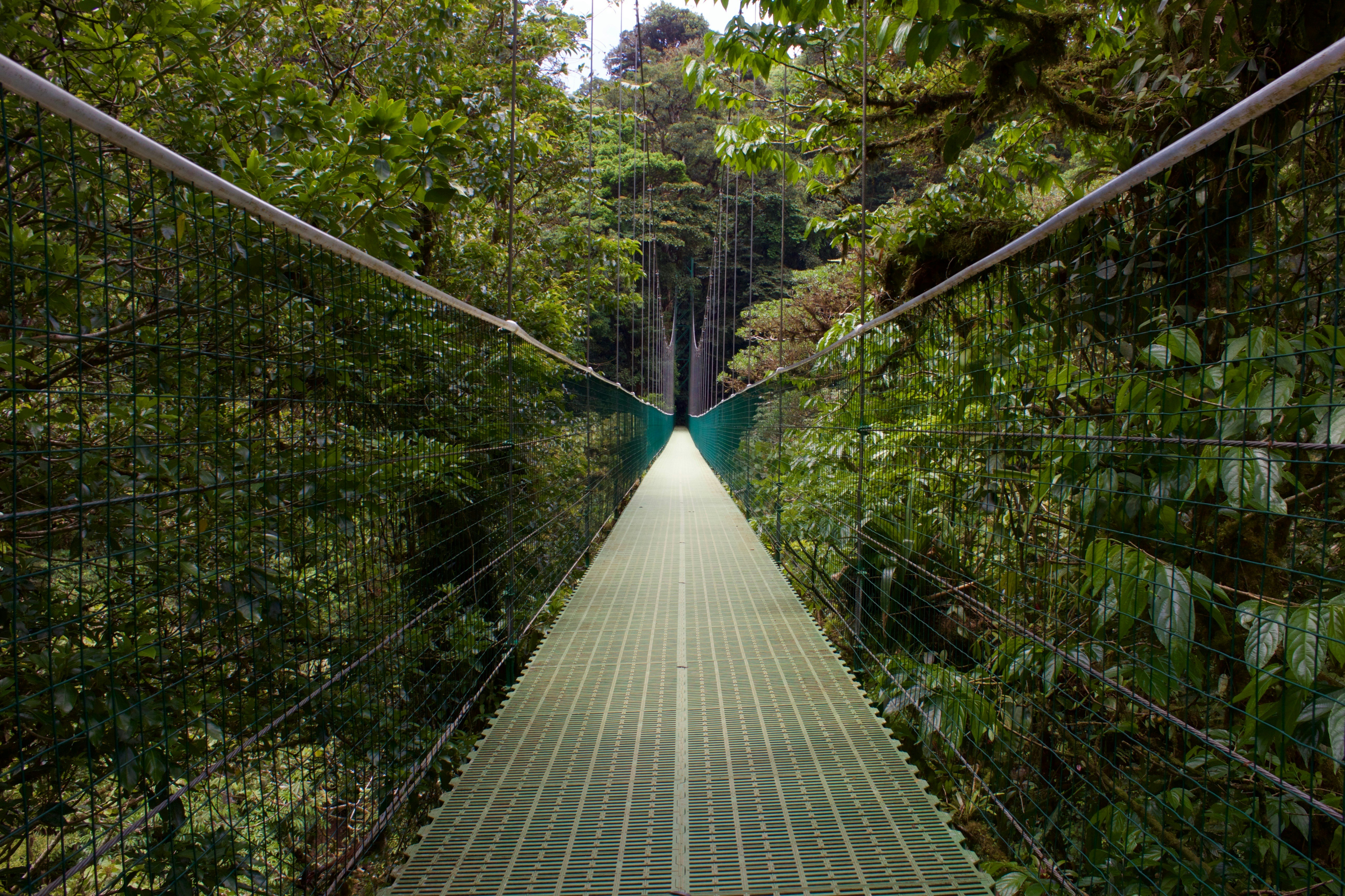 leslie-cross-qrNjBApCZBM-unsplash